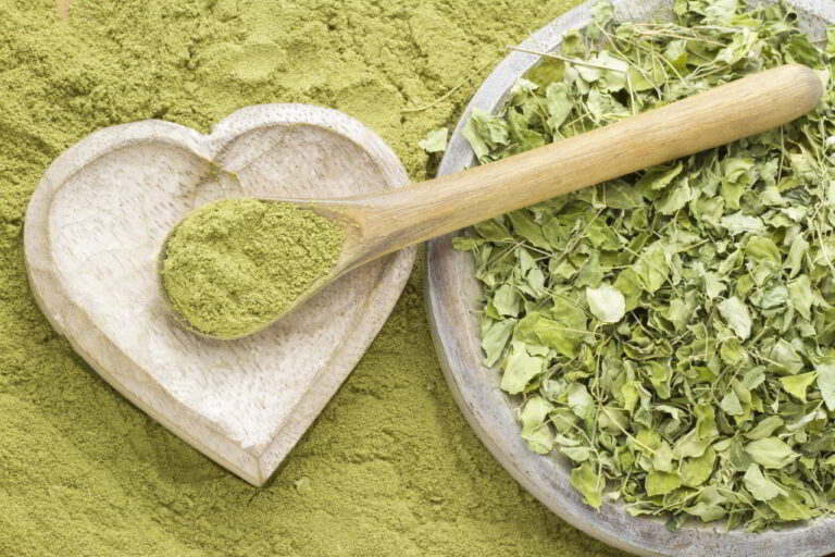 Moringa odżywcza - właściwości, zastosowanie i skutki uboczne