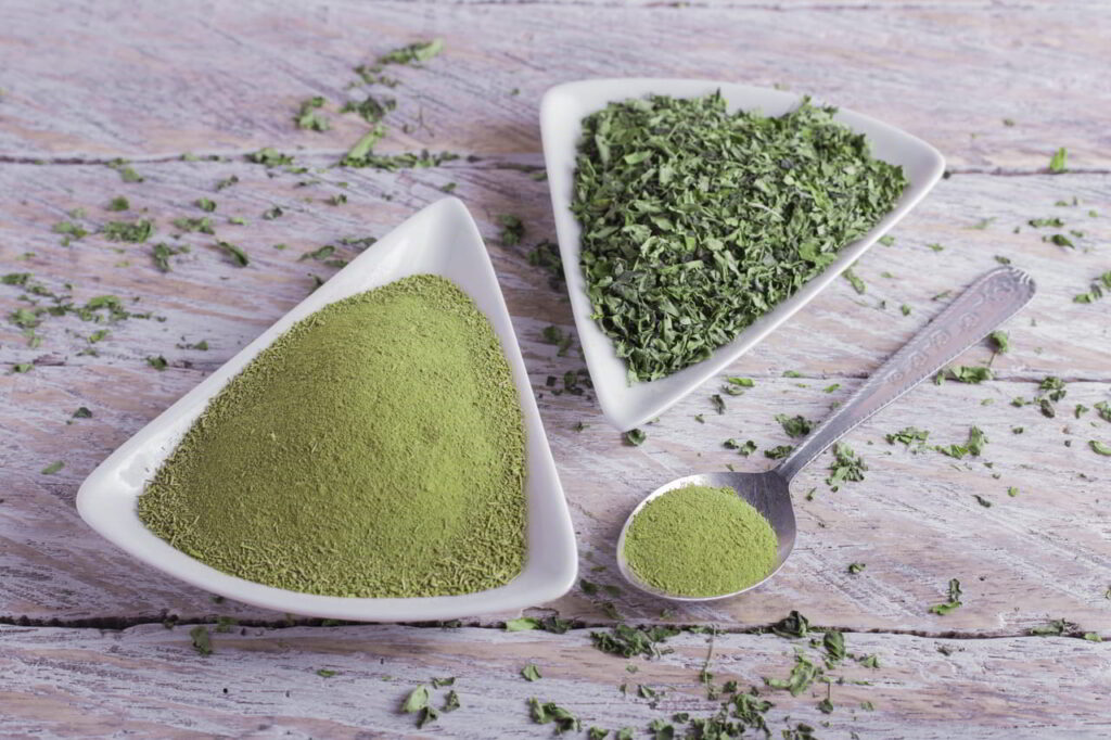 Na co jest dobra moringa