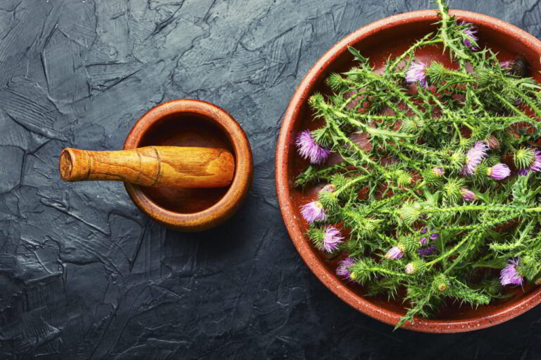 Ostropest na wątrobę - skuteczne dawkowanie i działanie