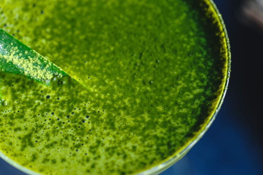 Po jakim czasie zaczyna działać chlorella