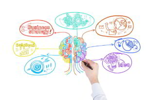 Bacopa na uczenie, lepszą pamięć i koncentrację