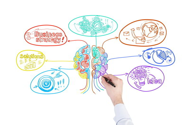 Bacopa na uczenie, lepszą pamięć i koncentrację