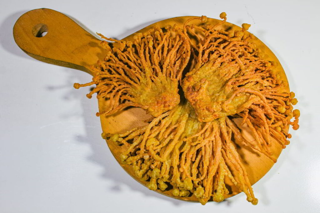 Efekty stosowania Cordyceps