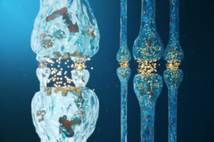 MSM w regeneracji - tajemnica skutecznej odbudowy